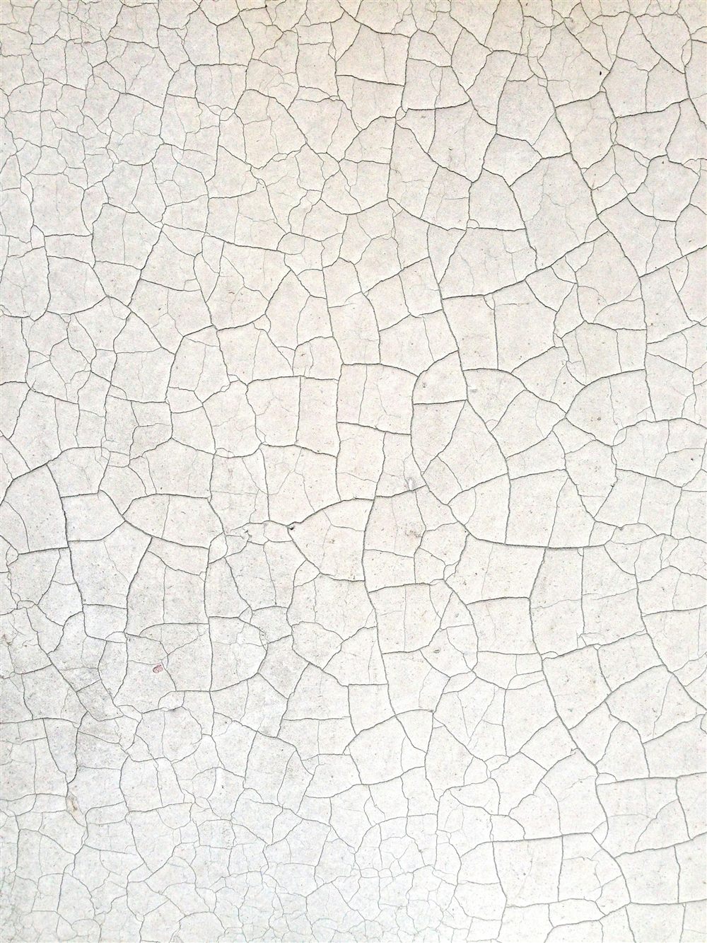 Gros plan de fines fissures formant un réseau sur un mur clair, caractéristique du faïençage superficiel