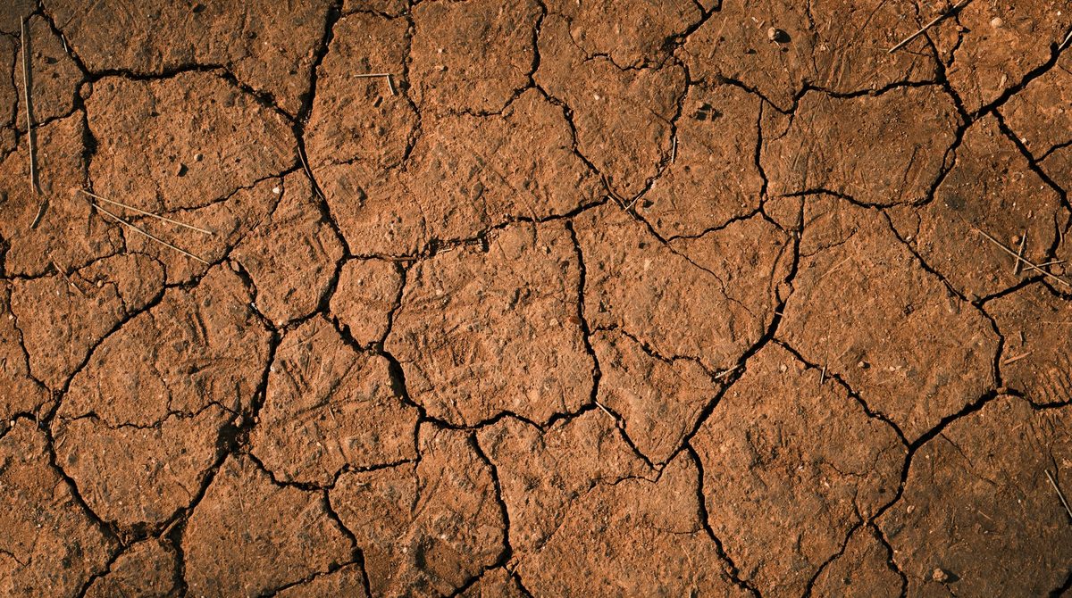 Sol argileux fissuré et craquelé en surface après une période de sécheresse prolongée